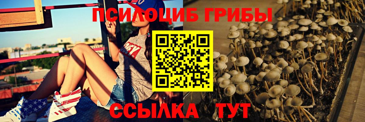 купить наркотик  Вход с VPN  Дзержинский  Галлюциногенные грибы ЛСД 