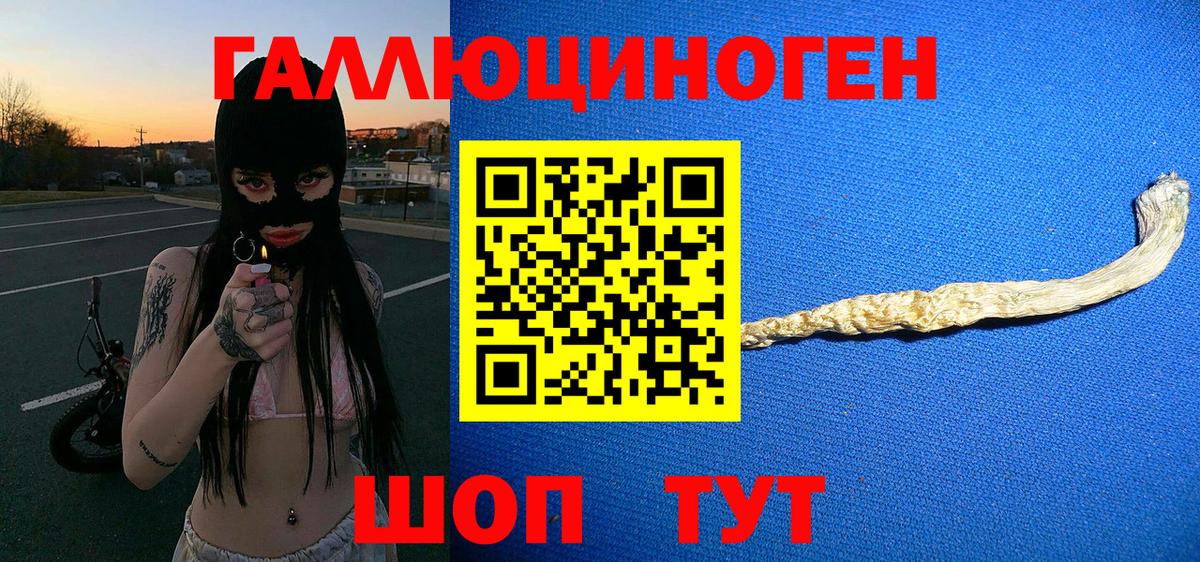 Галлюциногенные грибы Psilocybe Дзержинский